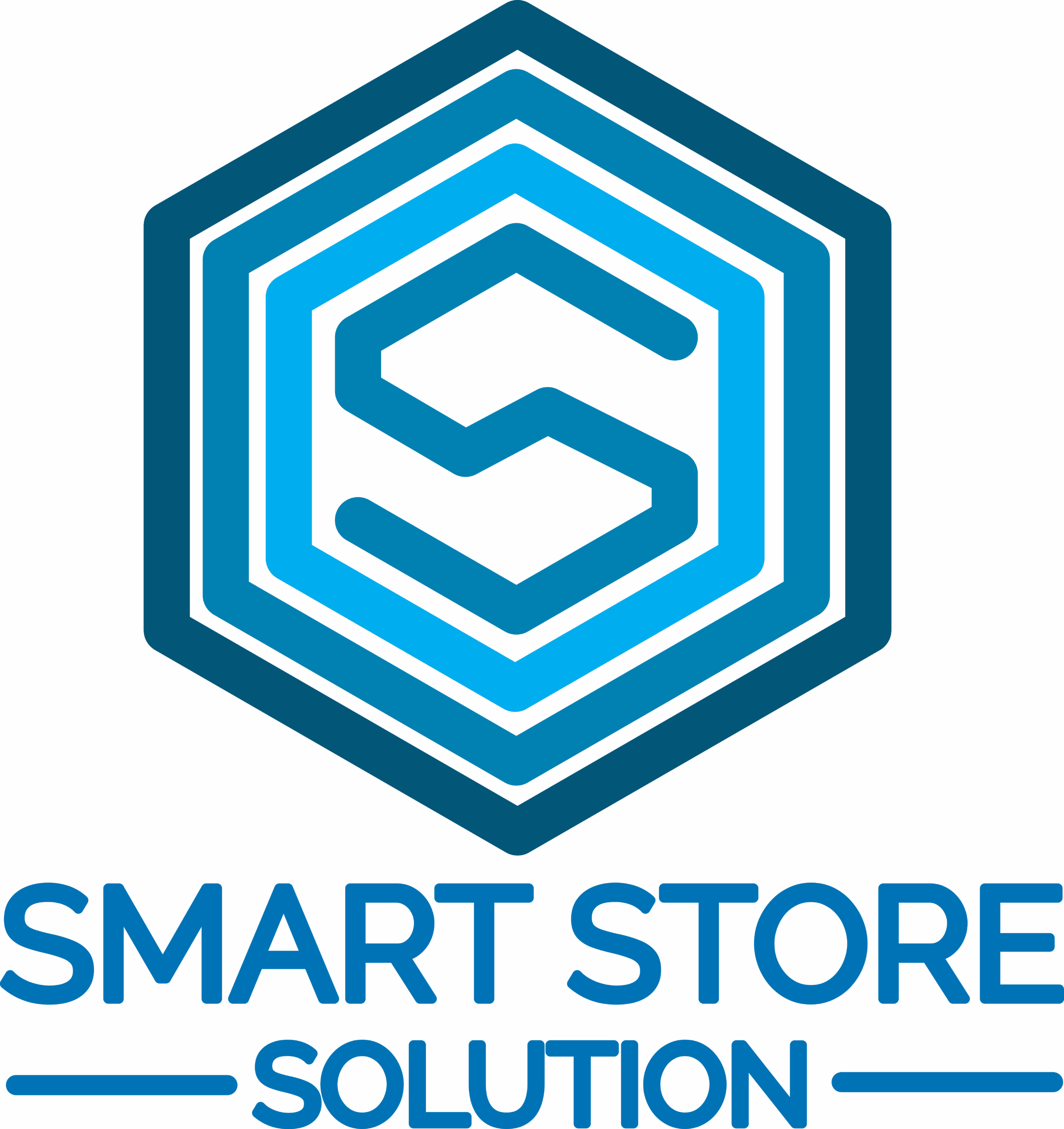 Smart Store Solution & Services GmbH